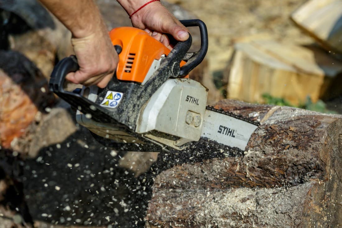 Your neighbour's tree is over your fence: what you can (and can't) do in Queensland
